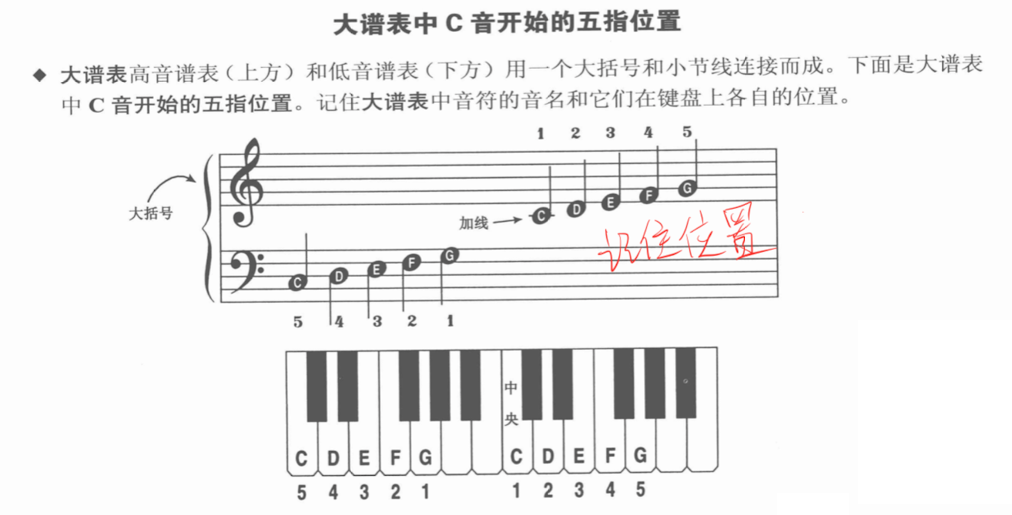 大谱表中C音开始的五指位置